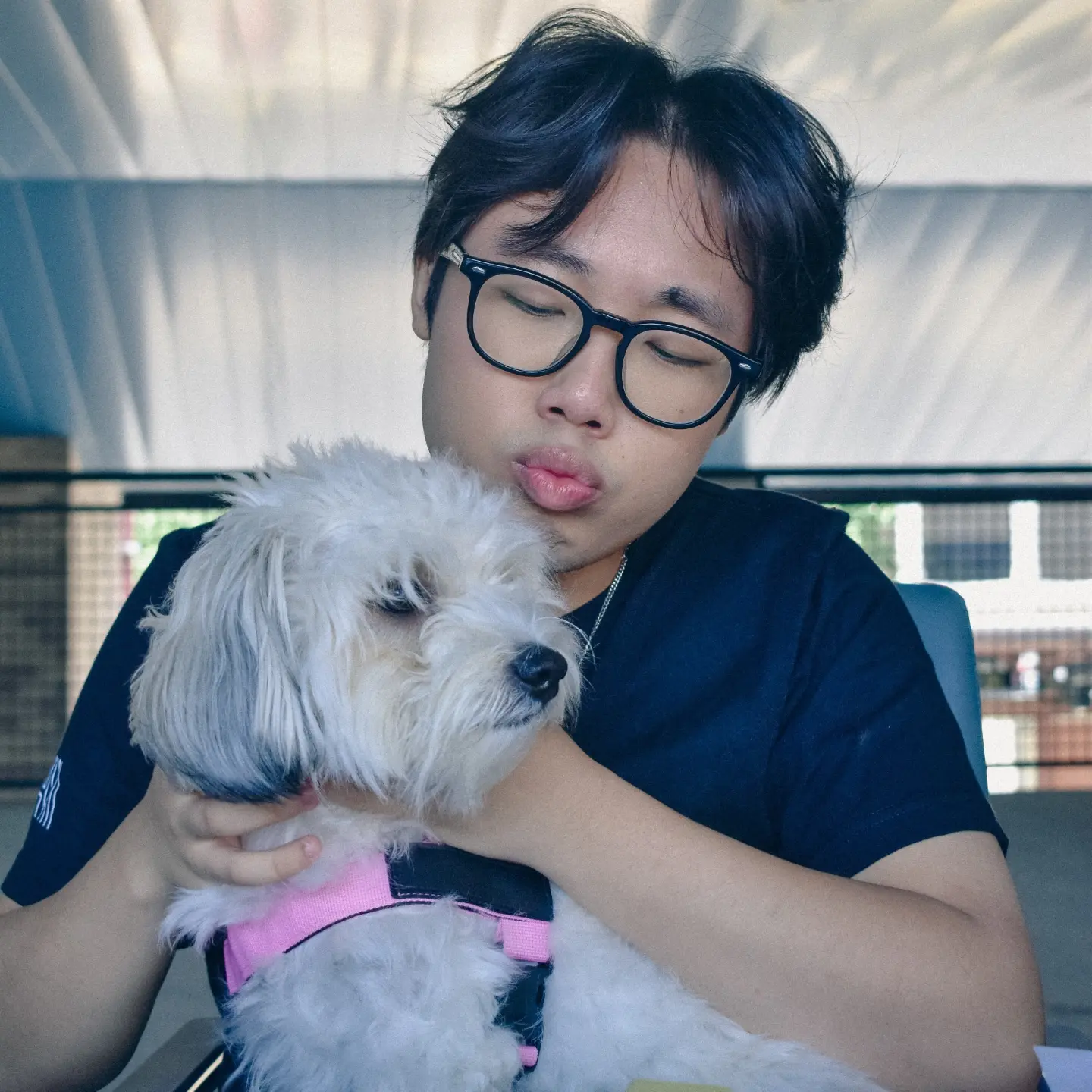 OUR FURRY RESIDENTS HAVE ARRIVED! Pet Welcome Day was a PAW-…
