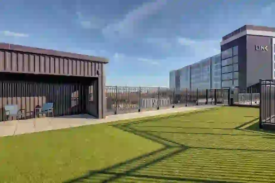 Rooftop Dog Run