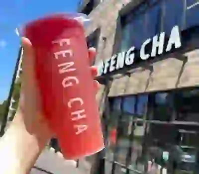 FENG CHA